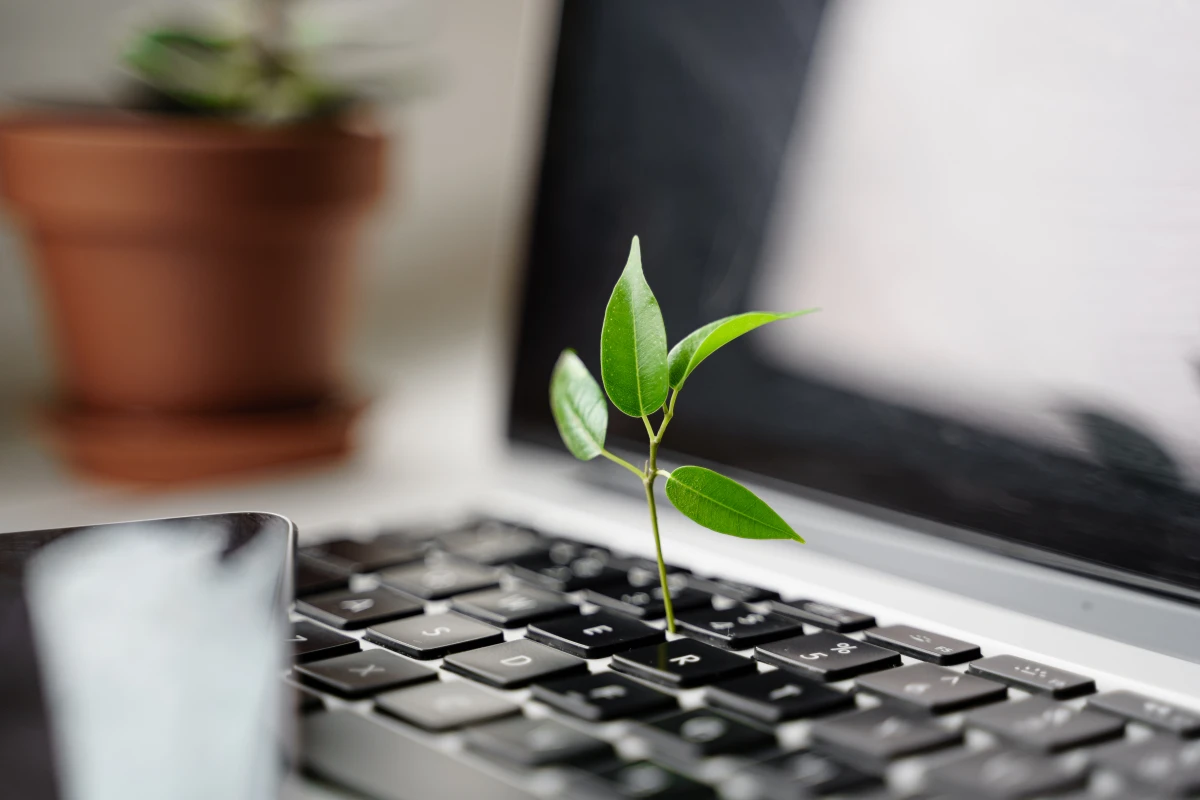 Comment les entreprises peuvent réduire leur empreinte carbone : stratégies concrètes et innovantes